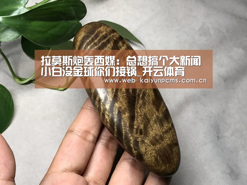 开云体育