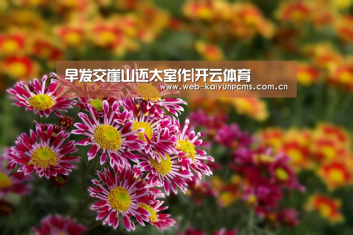 早发交崖山还太室作|开云体育