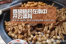 寄胡皓时在南中-开云体育