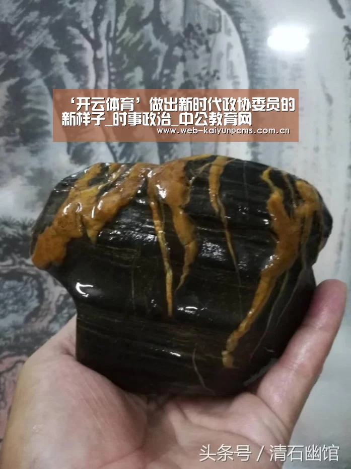 ‘开云体育’做出新时代政协委员的新样子_时事政治_中公教育网(图2) 开云体育